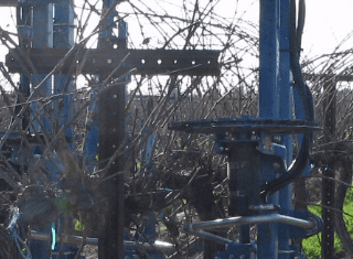 The mechanical pruning of vineyards: when is it convenient?