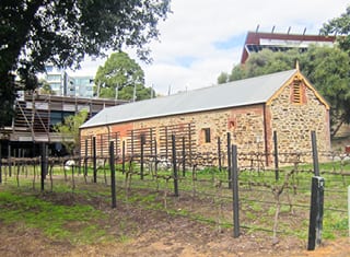 Management and re-use of treated winery wastewater (Part 3): Adelaide, Australia