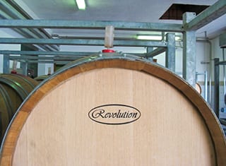 The role of ellagitannins in the oxidative stability of wine