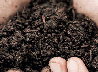 Back to (soil) basics