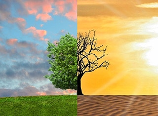 Responding to climate change