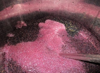 The management of phenols in the vineyard and cellar