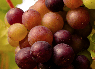 WineLand June 2020: All eyes on Britain’s bubbly boom