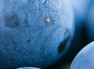 Nedbank: Support for SA wine sector impacted by lockdown