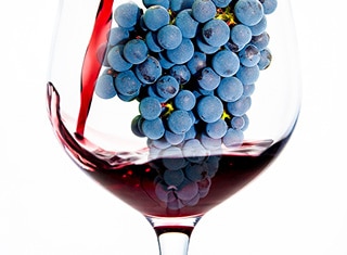Grape flavan-3-ol composition under altered light and temperature conditions in Cabernet Sauvignon (Part 2)
