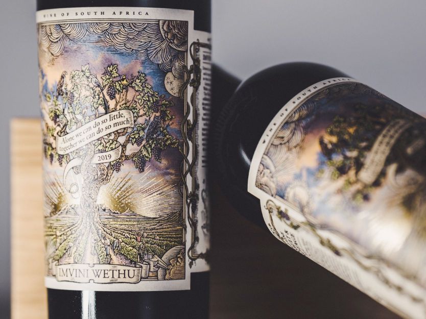 Germany champion project to save South African vines and future