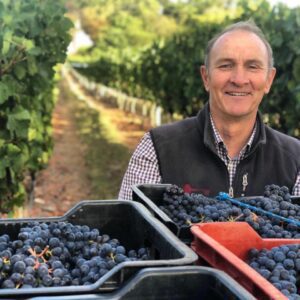 David Trafford with De Trafford “Belfield” grapes.