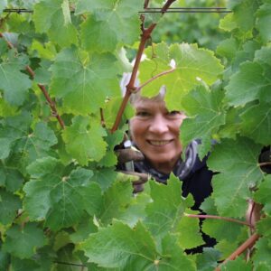 Mel Kreft in the Syrah vineyard