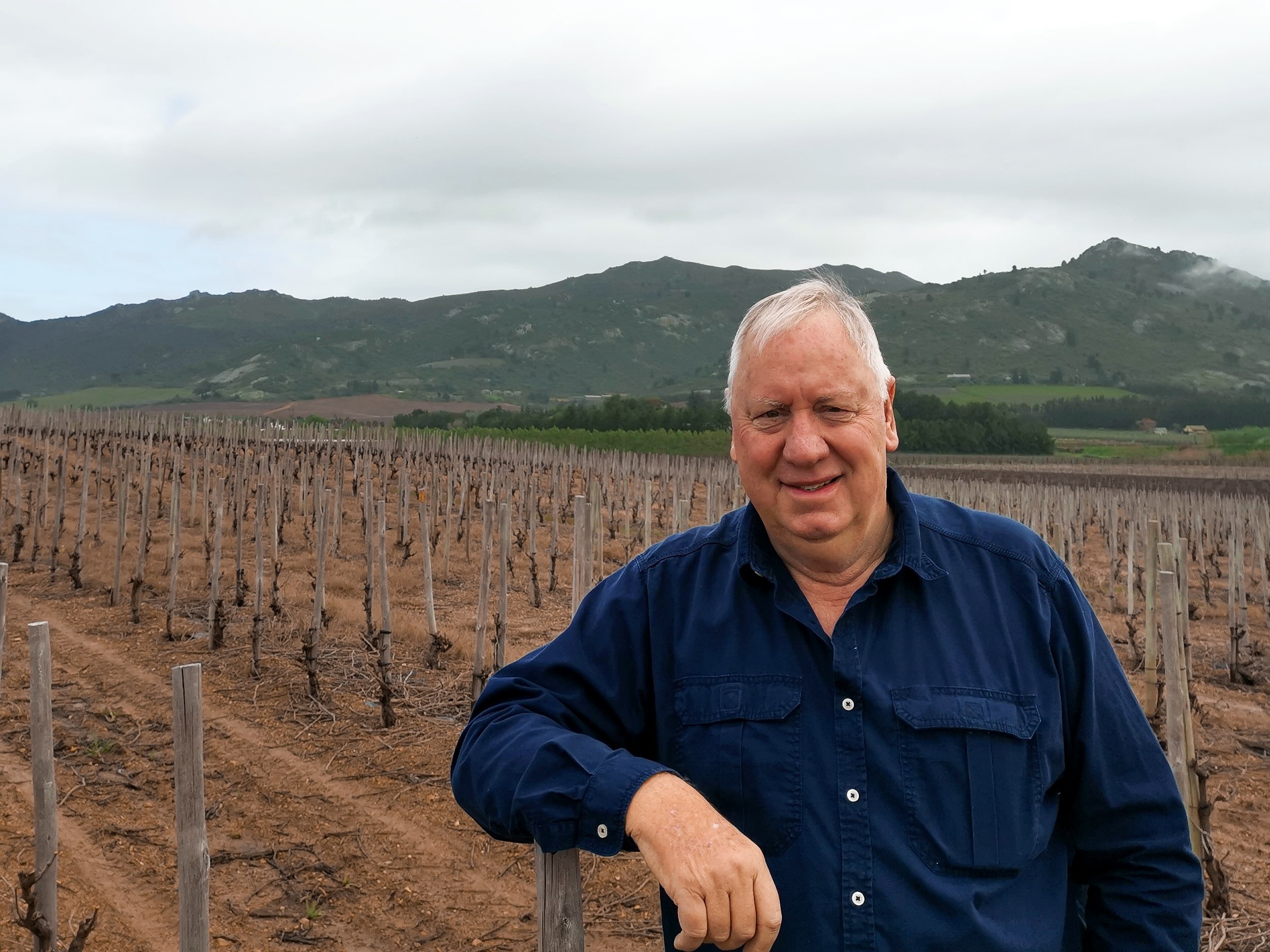 Tim Mostert SA Wine quality still on the up thanks to quality innovation, says Tim ...
