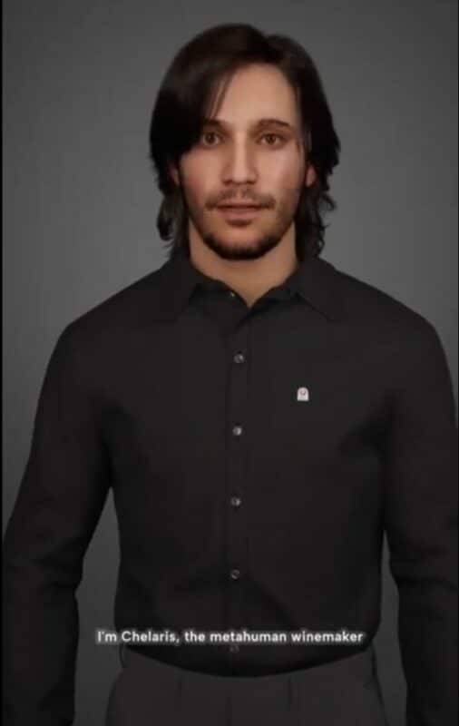 Meet Chelaris, our AI Meta Human Winemaker