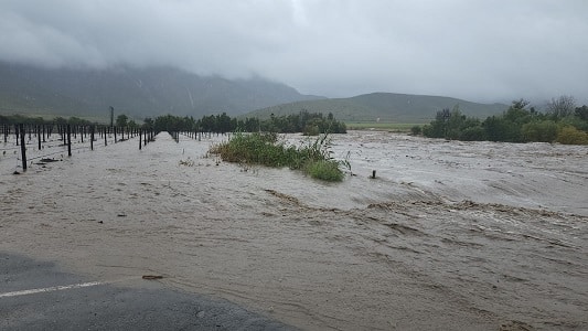 Waterlogged conditions 2