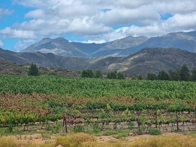 Waterlogged conditions 4