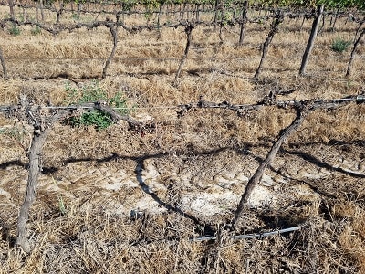 Waterlogged conditions 6