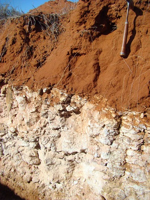 Profile pit 4