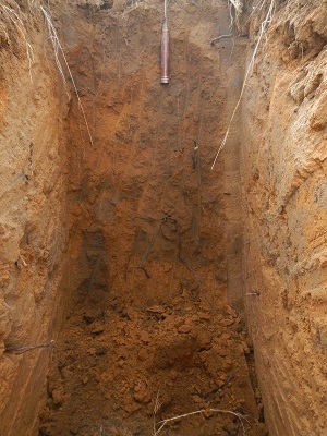 Irrigation 2
