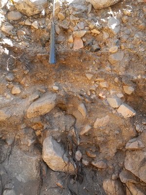 Irrigation 3
